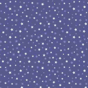 Lewis & Irene Haunted House - Glow in the Dark Stars
